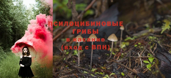 гидропоника Алексеевка