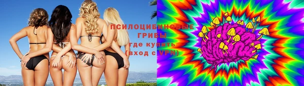 дурь Алексин