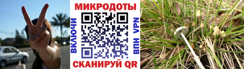 Галлюциногенные грибы GOLDEN TEACHER  blacksprut ONION  Белебей  как найти закладки 